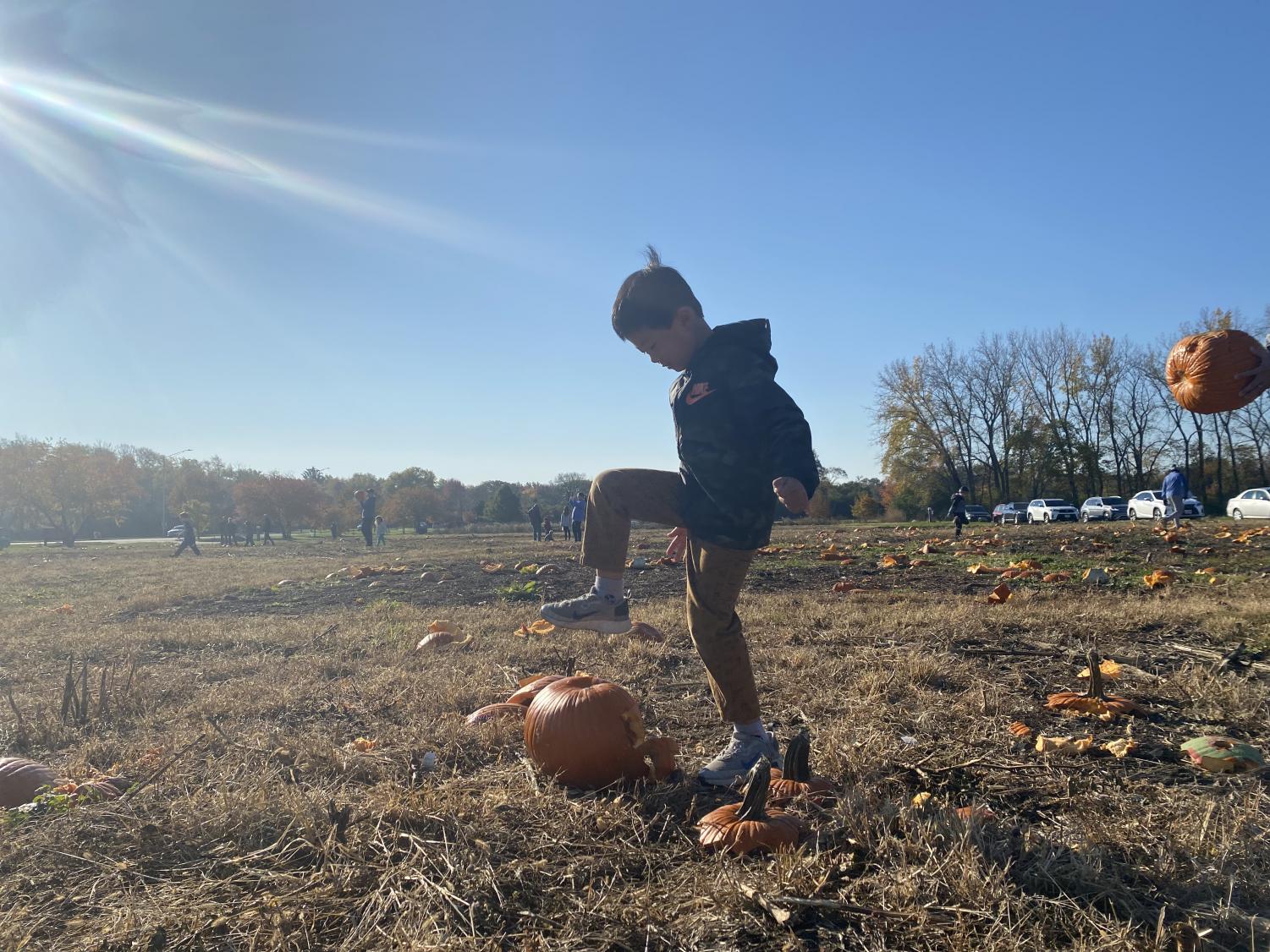 Smashing pumpkins to help the environment